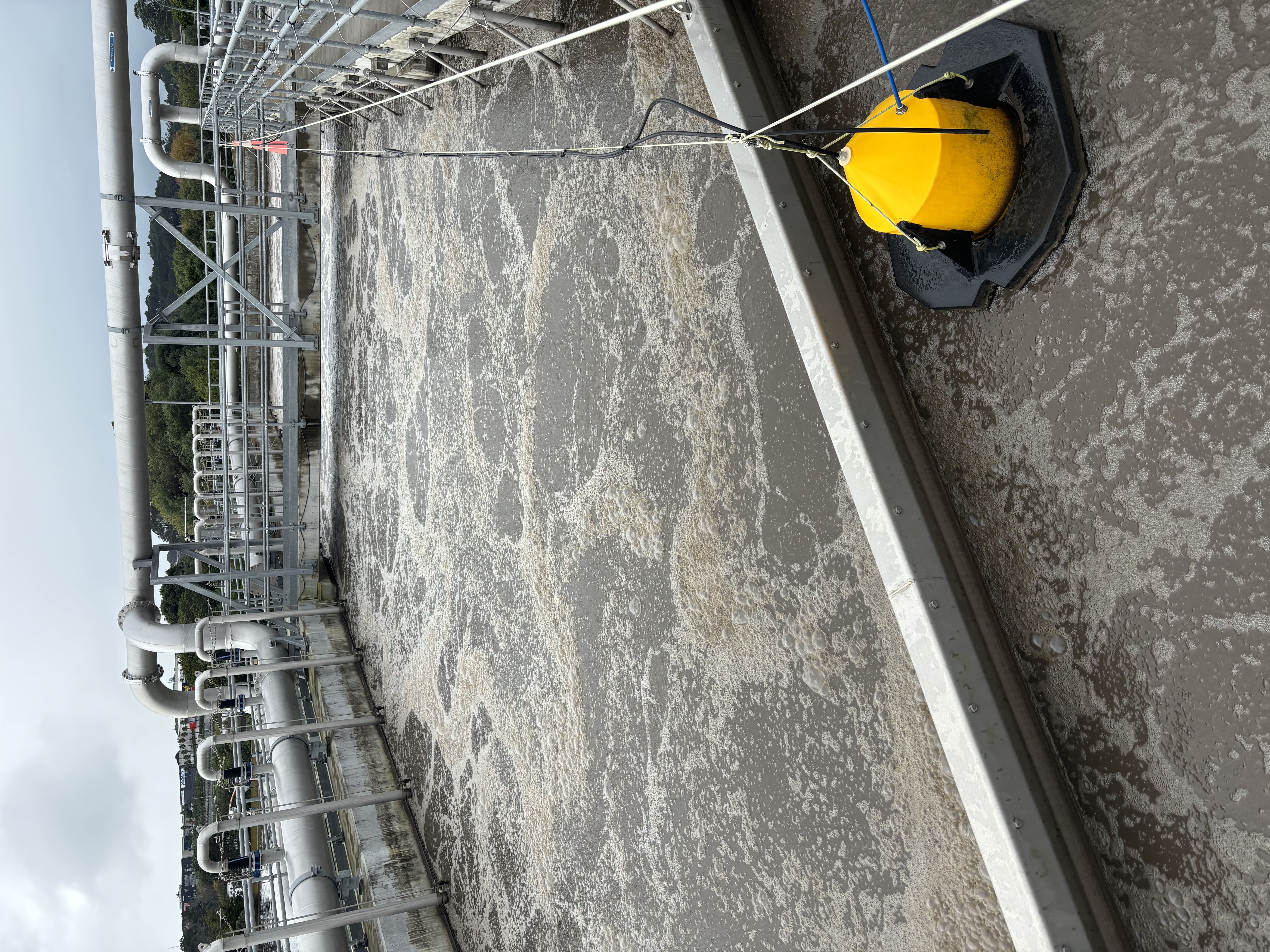 Wastewater Treatment Plant visit, 2024